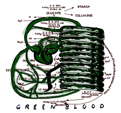 GREEN BLOOD