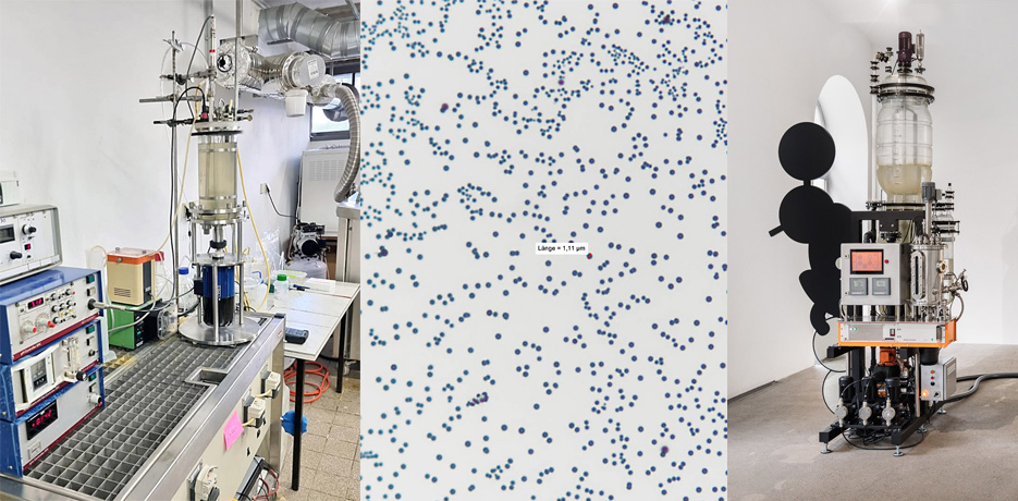 Metabolica Laboratory